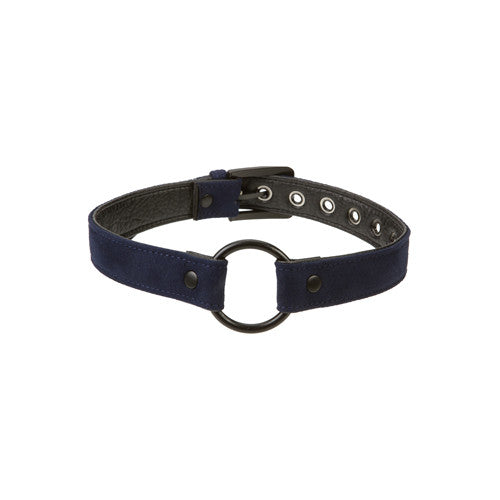 Black&blue Ringknebel